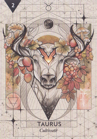 Starcodes Astro Oracle