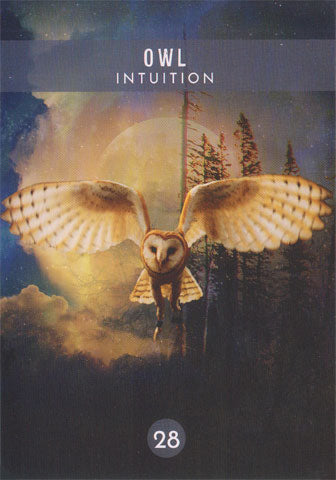 Messages from the Spirits of Nature Oracle