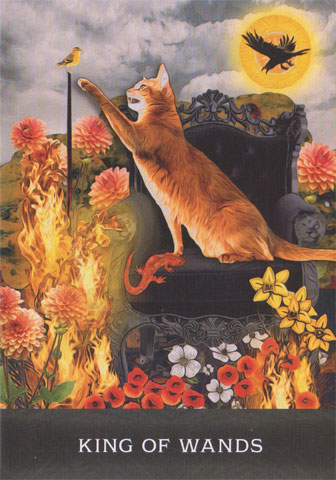 Grimalkins Curious Cats Tarot