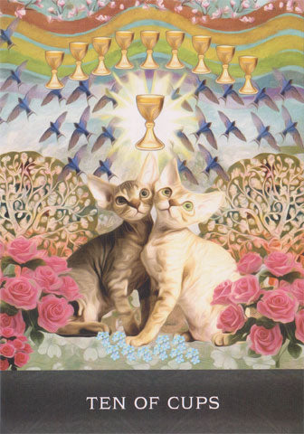 Grimalkins Curious Cats Tarot