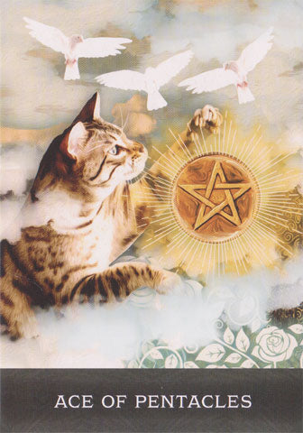 Grimalkins Curious Cats Tarot