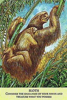 Animal Messages