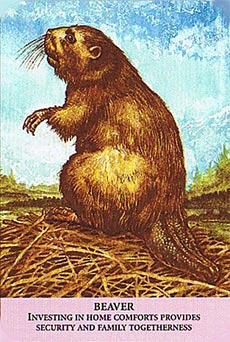 Animal Messages