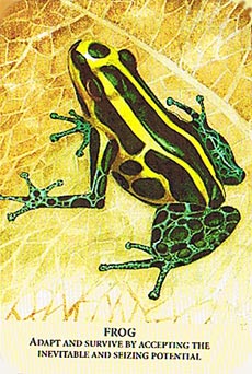 Animal Messages