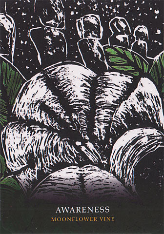 Flowers of the Night Oracle