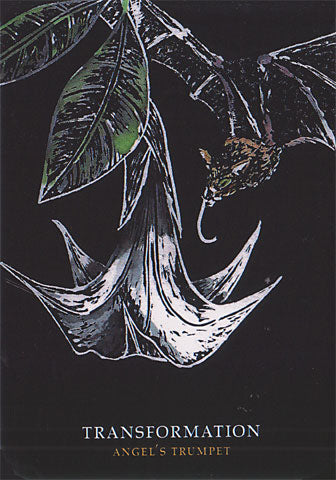 Flowers of the Night Oracle