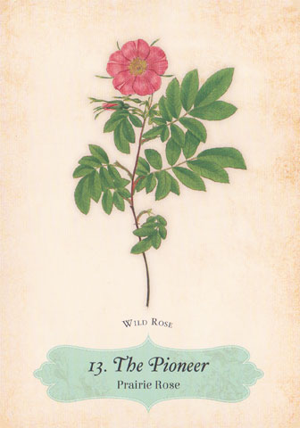 Oracle of the Roses