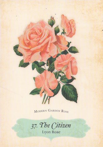 Oracle of the Roses
