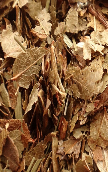 Bilberry Leaf Raw Herb - 4 oz.