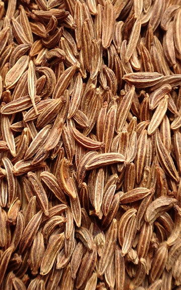 Caraway Raw Herb - 4 oz.