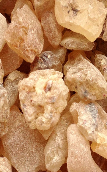 Copal Resin Raw Herb - 4 oz.
