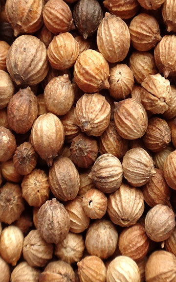 Coriander Raw Herb - 4 oz.