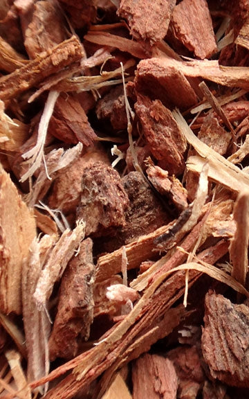 White Oak Raw Herb - 4 oz.