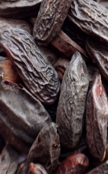 Tonka Beans Raw Herb - 8 Beans