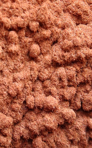 Yohimbe Bark Raw Herb - 4 oz.