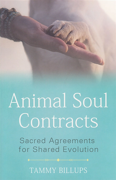 Animal Soul Contracts