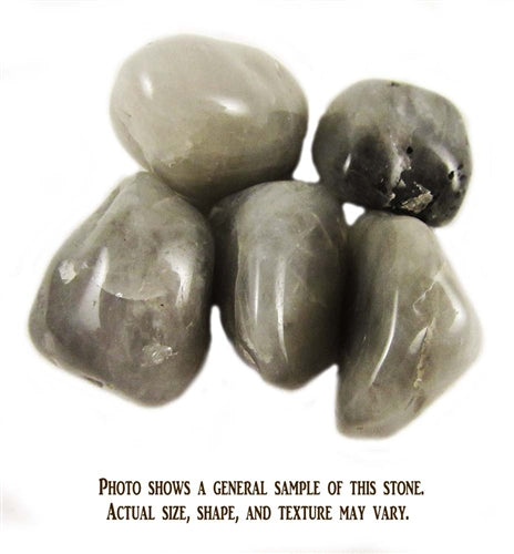 Cat's Eye - 1 Stone