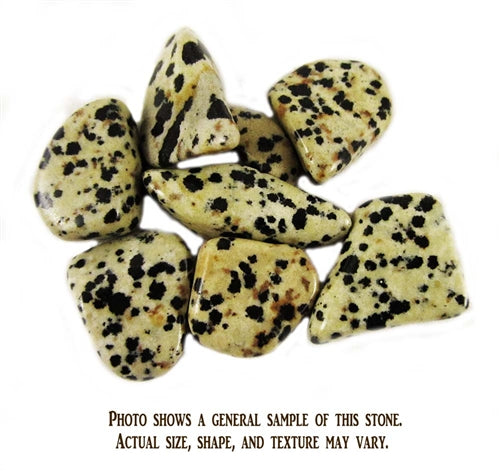 Dalmation Stone - 1 Stone