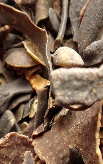Bladderwrack Raw Herb - 1 oz.