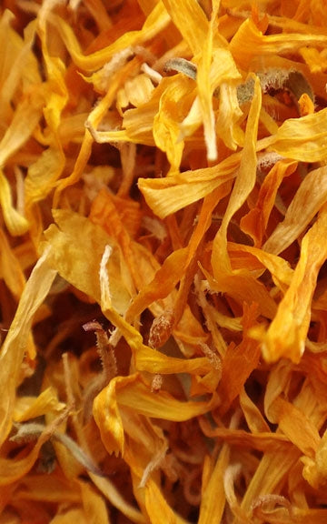 Calendula Raw Herb - 1/2 oz.