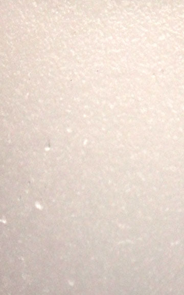 Camphor Raw Herb - 1 oz.