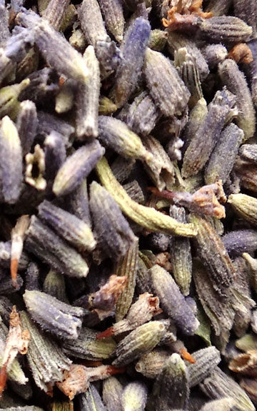 Lavender Raw Herb - 1 oz.