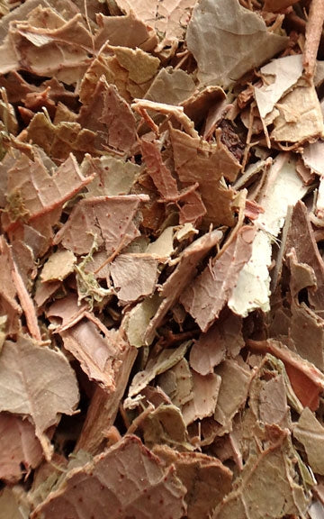 Wintergreen Raw Herb 1 oz