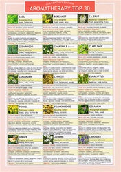 Aromatherapy Laminated Info Card