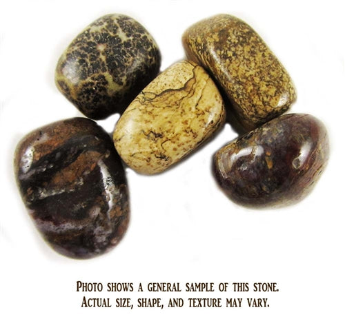 Jasper, Picasso - 1 Stone