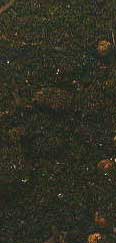 Hecate Incense - 1 oz