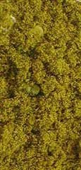 Tiphareth Incense - 1 oz