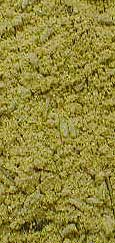 Mercury Incense - 1 oz
