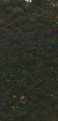 Osiris Incense - 1 oz