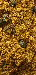 Ra Incense - 1 oz