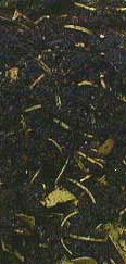 Sabbat Incense - 1 oz