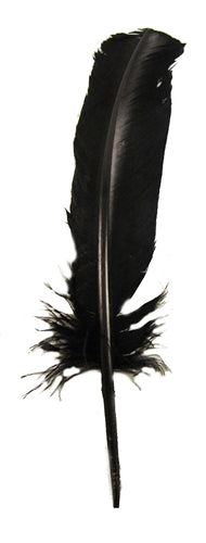 Black Feather Quill