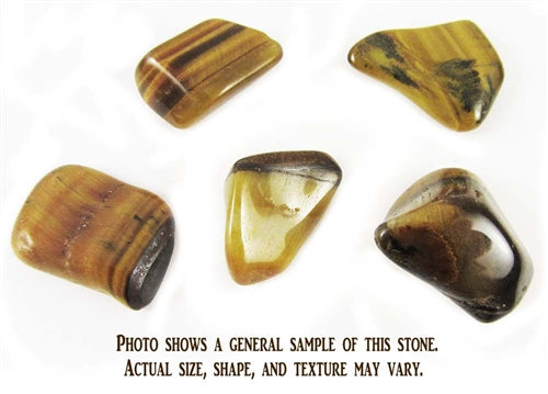 Tiger's Eye, Gold - 1 Stone