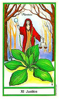 Herbal Tarot Deck