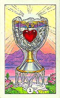 Robin Wood Tarot