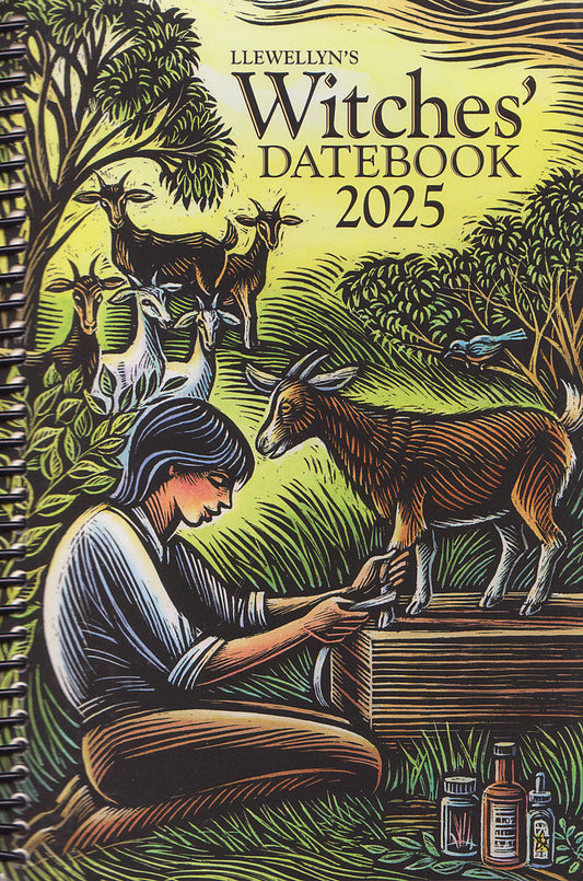 2025 Witches Datebook Calendar Desk
