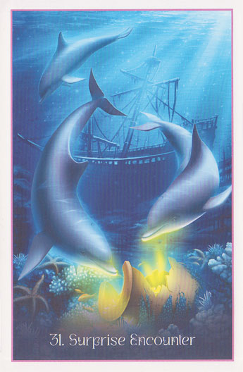 Whispers Of The Dolphin Heart Oracle