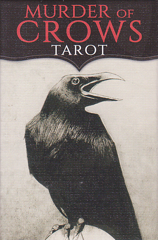 Murder of Crows Tarot Mini
