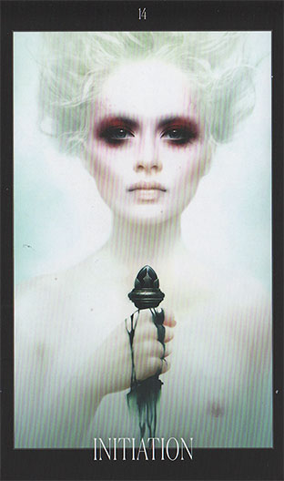 Oracle of the Vampire Fae