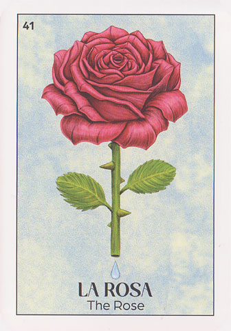 Lotería Remedios Oracle