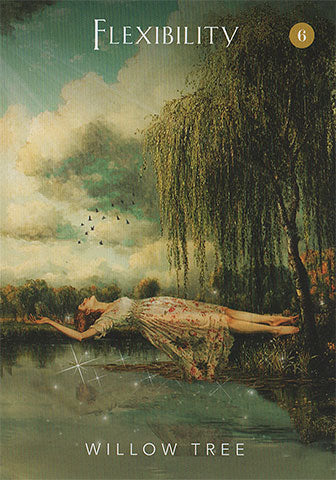Mystical Garden Oracle