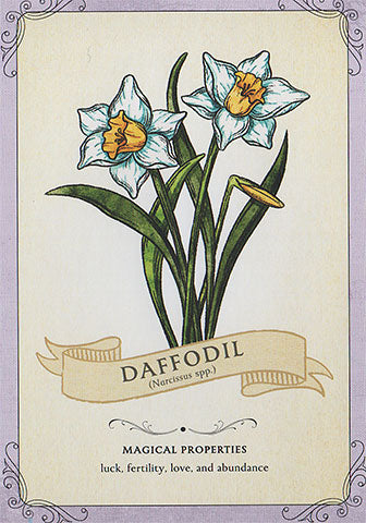 Green Witchs Deck of Magical Herbalism