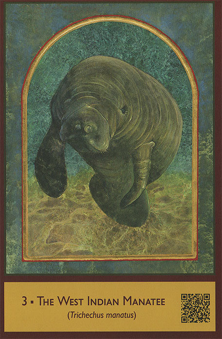 Sacred Biodiversity Oracle