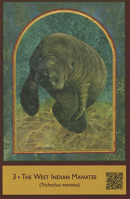 Sacred Biodiversity Oracle