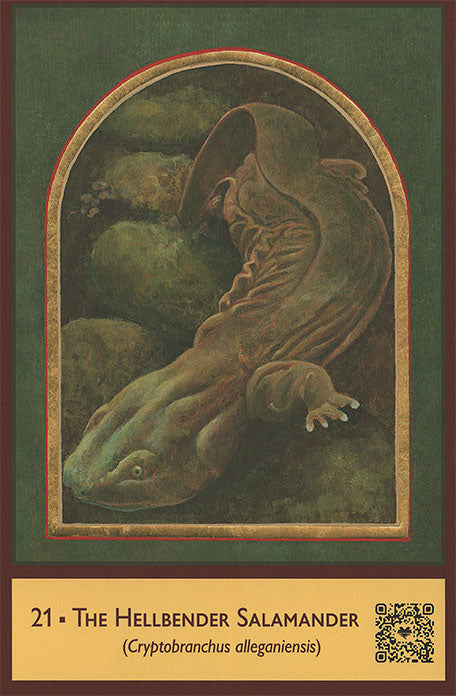 Sacred Biodiversity Oracle