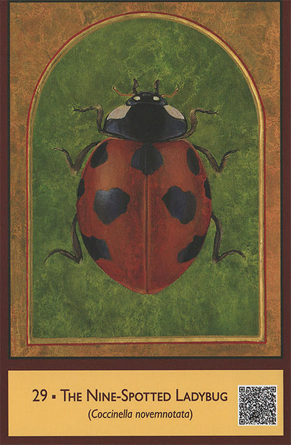 Sacred Biodiversity Oracle